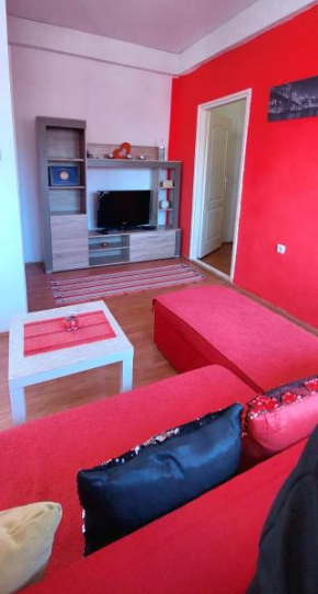 Jednosoban stan centar, Pirot